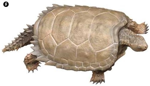 Отпечатки жизни. 25 шагов эволюции и вся история планеты