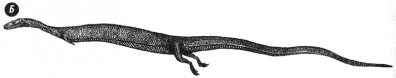 Отпечатки жизни. 25 шагов эволюции и вся история планеты