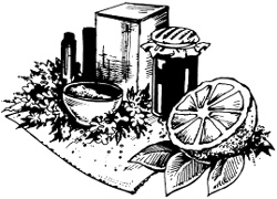 Дом без химии