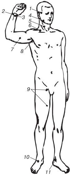 Основы медицинских знаний. Учебное пособие
