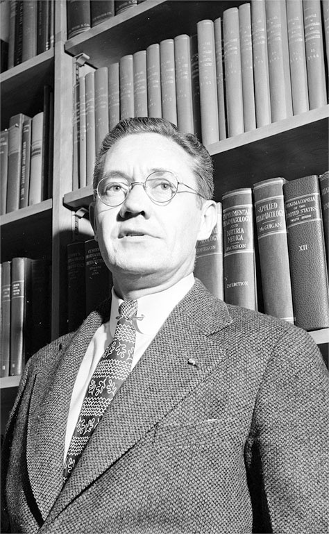 Тайны пророчеств и предсказаний Тайны пророчеств и предсказаний