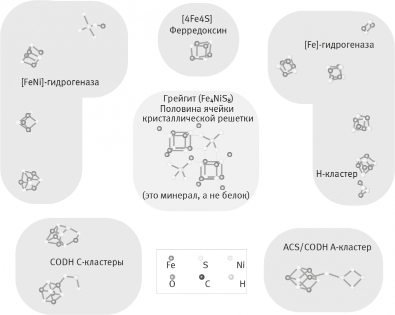 Вопрос жизни. Энергия, эволюция и происхождение сложности