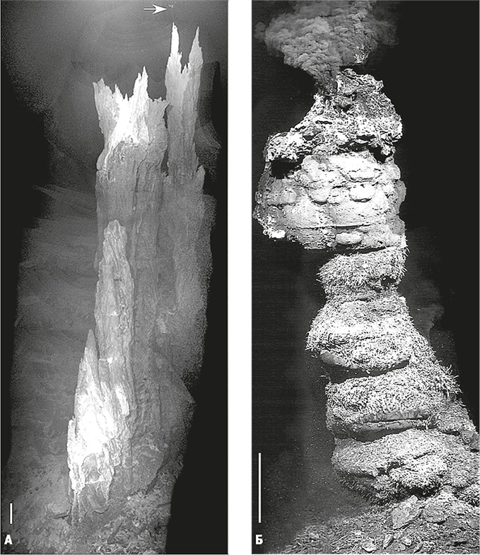 Вопрос жизни. Энергия, эволюция и происхождение сложности