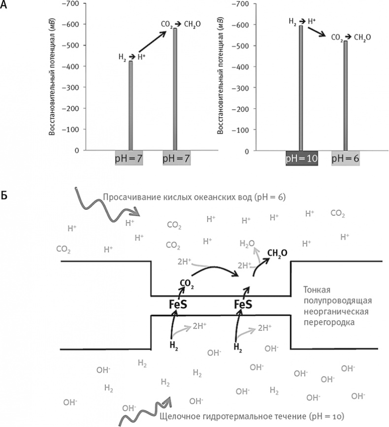 Вопрос жизни. Энергия, эволюция и происхождение сложности