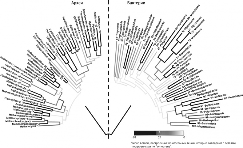 Вопрос жизни. Энергия, эволюция и происхождение сложности