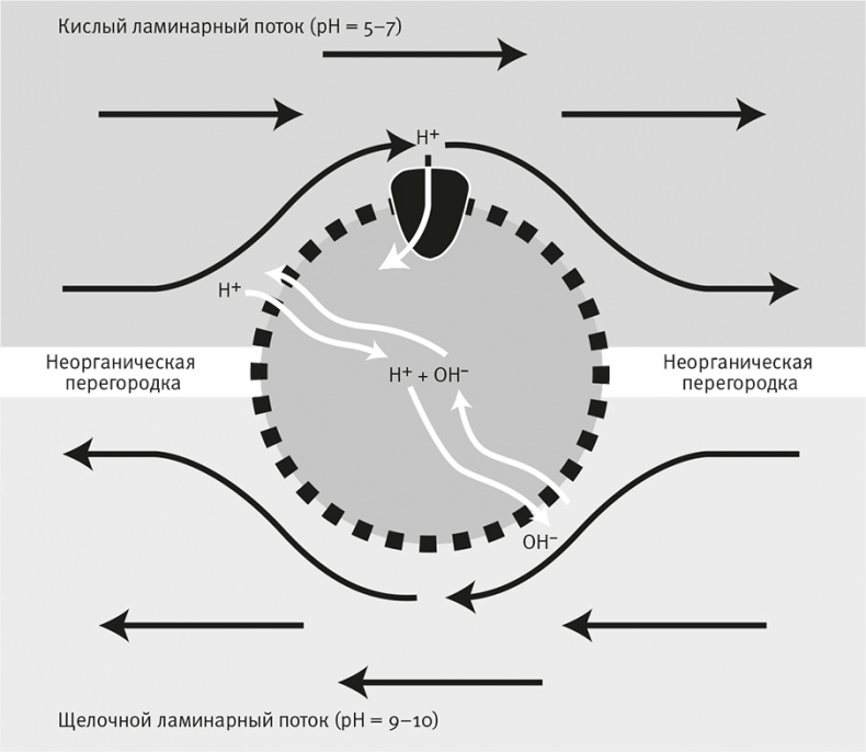 Вопрос жизни. Энергия, эволюция и происхождение сложности