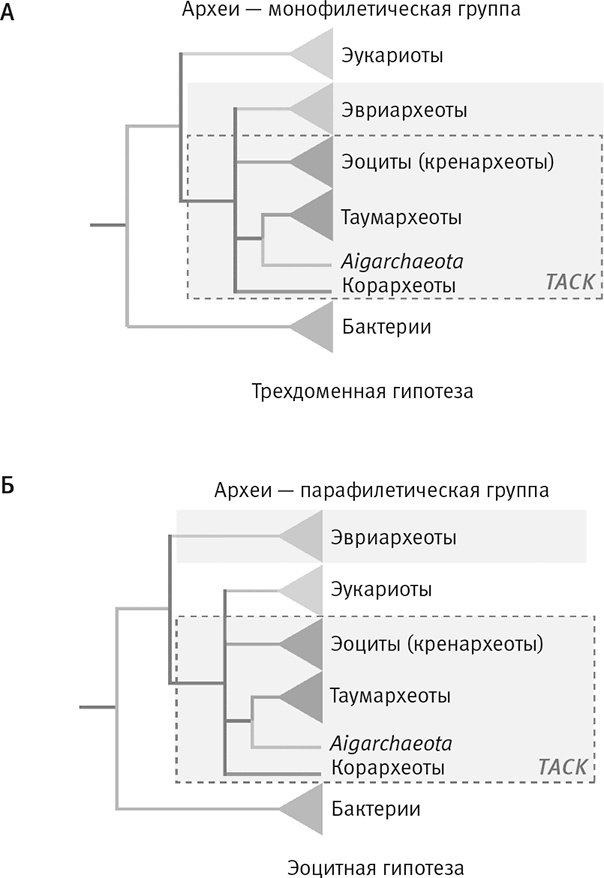 Вопрос жизни. Энергия, эволюция и происхождение сложности