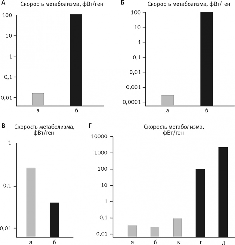 Вопрос жизни. Энергия, эволюция и происхождение сложности