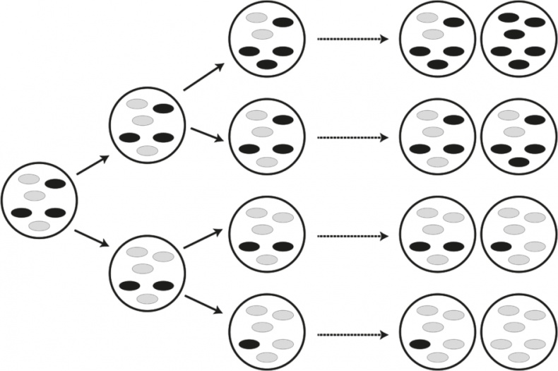 Вопрос жизни. Энергия, эволюция и происхождение сложности