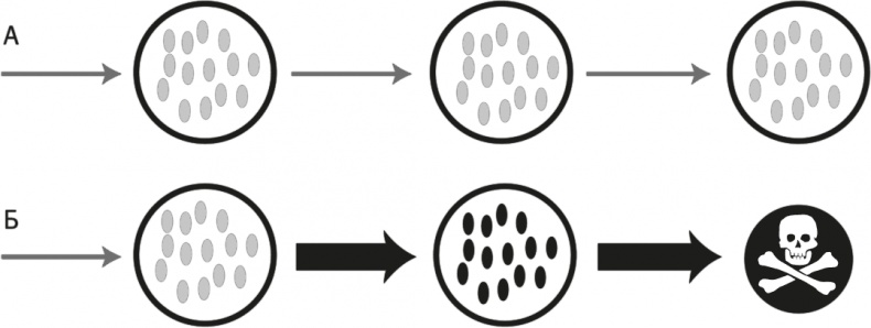 Вопрос жизни. Энергия, эволюция и происхождение сложности