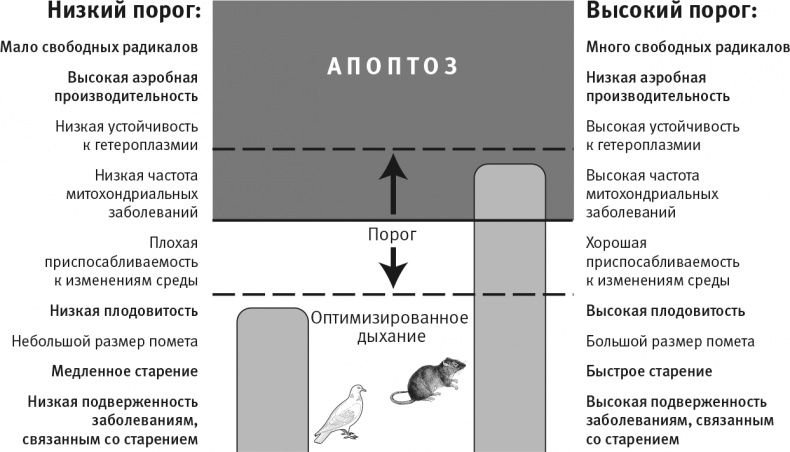 Вопрос жизни. Энергия, эволюция и происхождение сложности