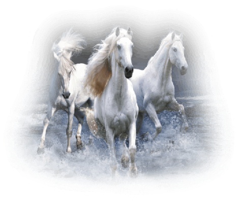 Ангелы Эво. Книга 1. Восставший разум Ангелы Эво. Книга 1. Восставший разум