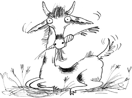 Тролли, идите домой! Тролли, идите домой!