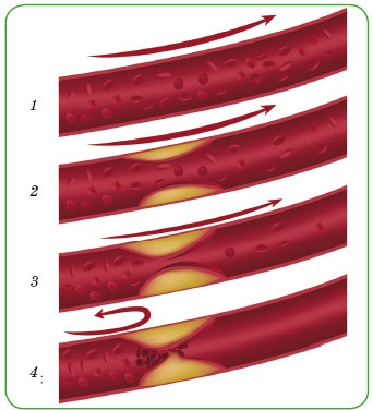Энциклопедия диагностики и лечения от А до Я