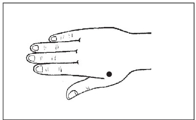 Болезни от А до Я. Традиционное и нетрадиционное лечение