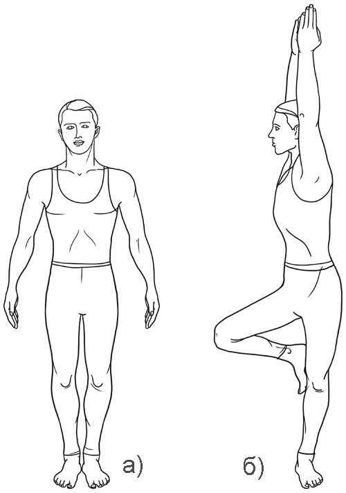 Работа с триггерными точками: расслабляем мышцы, избавляемся от боли Работа с триггерными точками: расслабляем мышцы, избавляемся от боли