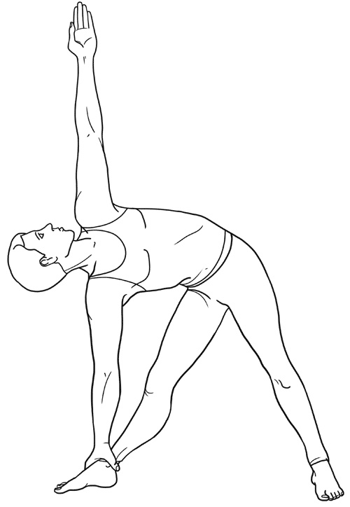 Работа с триггерными точками: расслабляем мышцы, избавляемся от боли Работа с триггерными точками: расслабляем мышцы, избавляемся от боли