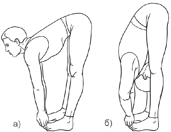Работа с триггерными точками: расслабляем мышцы, избавляемся от боли Работа с триггерными точками: расслабляем мышцы, избавляемся от боли