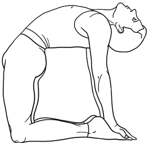 Работа с триггерными точками: расслабляем мышцы, избавляемся от боли Работа с триггерными точками: расслабляем мышцы, избавляемся от боли