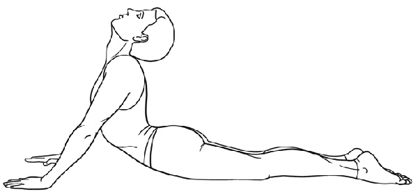 Работа с триггерными точками: расслабляем мышцы, избавляемся от боли Работа с триггерными точками: расслабляем мышцы, избавляемся от боли