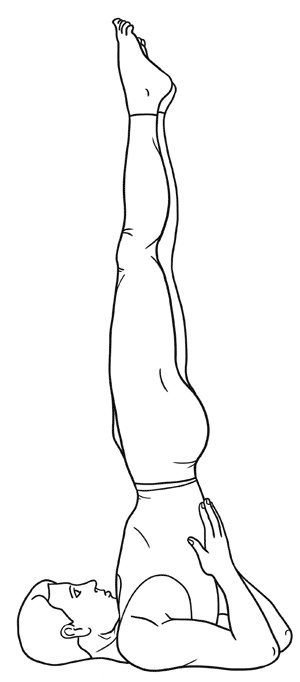 Работа с триггерными точками: расслабляем мышцы, избавляемся от боли Работа с триггерными точками: расслабляем мышцы, избавляемся от боли