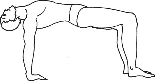 Тибетский путь исцеления. Основные приемы