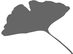 Редизайн лидерства. Руководитель как творец, инженер, ученый и человек