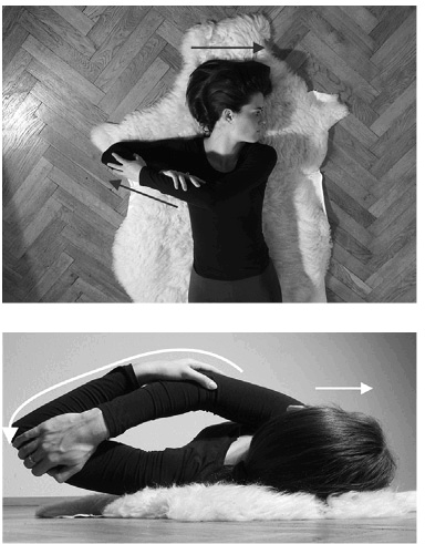 Лечение позвоночника. Научитесь жить без боли в спине