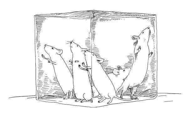 Криптографические приключения. Таинственные шифры и математические задачи Криптографические приключения. Таинственные шифры и математические задачи