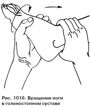 Целительные точки от всех болезней в пошаговых схемах