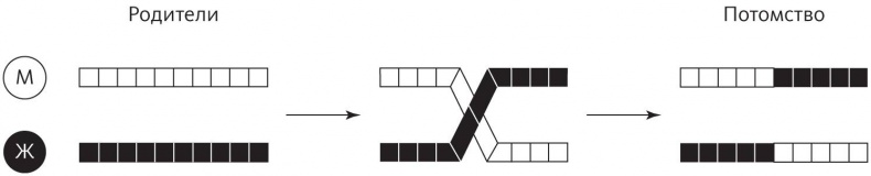 Верховный алгоритм. Как машинное обучение изменит наш мир