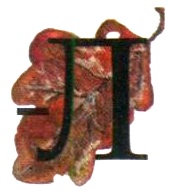 Бусина карманного карлика Бусина карманного карлика