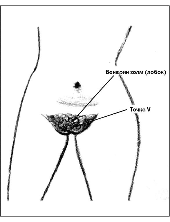 Оргазм. Руководство для женщин. Секреты нереального удовольствия Оргазм. Руководство для женщин. Секреты нереального удовольствия