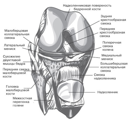 Боль в коленях. Найти и устранить причину Боль в коленях. Найти и устранить причину
