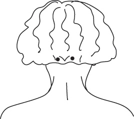 Энергетические растяжки. Осознанные движения для гибкости, красоты и долголетия