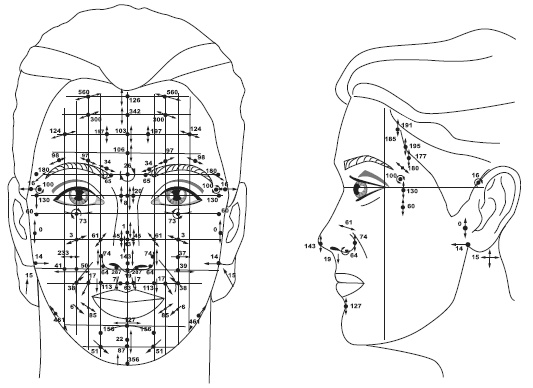 Точки болезни и здоровья на вашем лице Точки болезни и здоровья на вашем лице