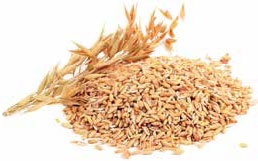 Кулинарная энциклопедия. Том 24. О (Облепиха – Опёнок) Кулинарная энциклопедия. Том 24. О (Облепиха – Опёнок)