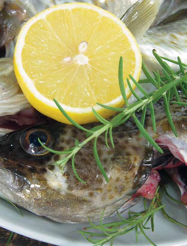 Кулинарная энциклопедия. Том 23. Н-О (Налим – Облатка) Кулинарная энциклопедия. Том 23. Н-О (Налим – Облатка)