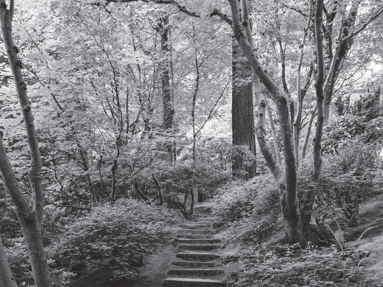 Время желаний. Как начать жить для себя