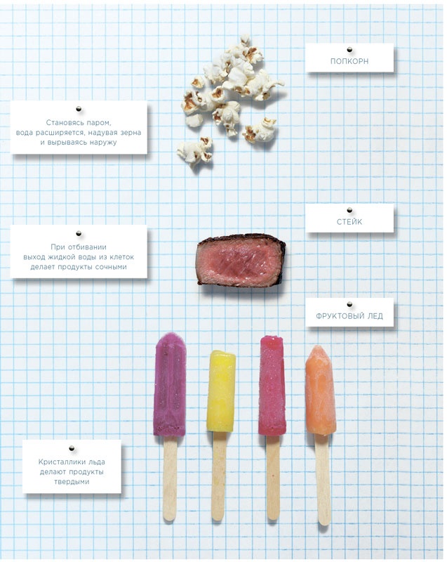 Ингредиенты. Химия и алхимия гастрономического творчества