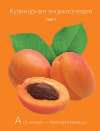 Кулинарная энциклопедия. Том 1. А (А ля карт – Аэрофритюрница) - Наталья Шинкарёва