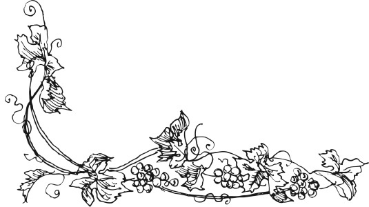 Вино, настойки, ликеры Вино, настойки, ликеры