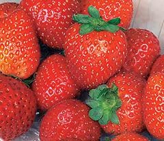 Кулинарная коллекция. Шаг за шагом