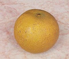 Кулинарная коллекция. Шаг за шагом