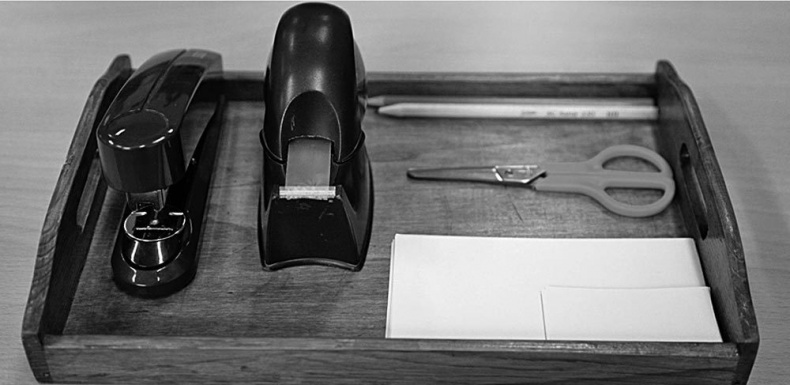 Законы естественного развития ребенка Законы естественного развития ребенка