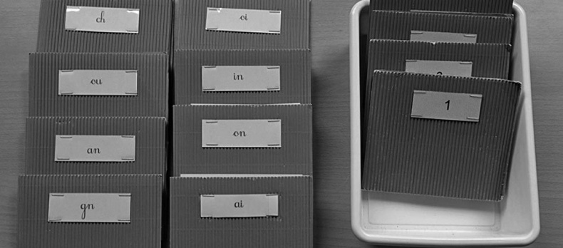 Законы естественного развития ребенка Законы естественного развития ребенка