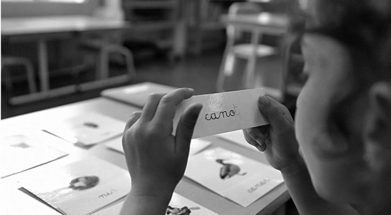 Законы естественного развития ребенка Законы естественного развития ребенка