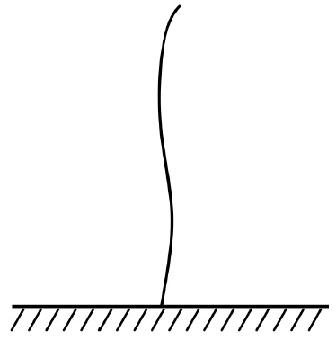 Обрезка винограда. Проверенные способы формировки укрывного винограда в средней полосе России Обрезка винограда. Проверенные способы формировки укрывного винограда в средней полосе России