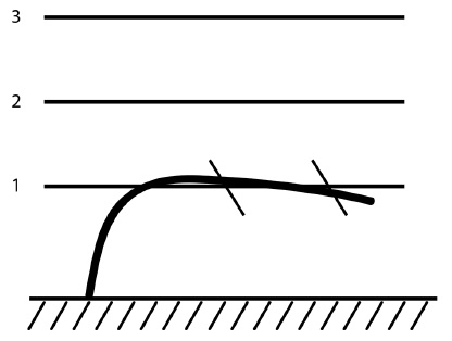 Обрезка винограда. Проверенные способы формировки укрывного винограда в средней полосе России Обрезка винограда. Проверенные способы формировки укрывного винограда в средней полосе России