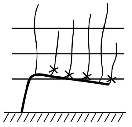 Обрезка винограда. Проверенные способы формировки укрывного винограда в средней полосе России Обрезка винограда. Проверенные способы формировки укрывного винограда в средней полосе России